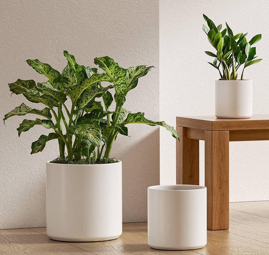 Set of 3 White Indoor Plant Pots (10", 8", 6") with Drainage Hole and Plug for Indoor and Patio Decoration