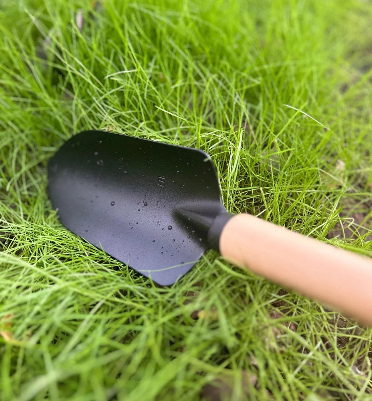 Minimalist Gardening Tool Set with Wooden Handles - Includes Narrow Trowel, Wide Trowel, and Garden Rake for Succulent Transplanting (3 Pieces)