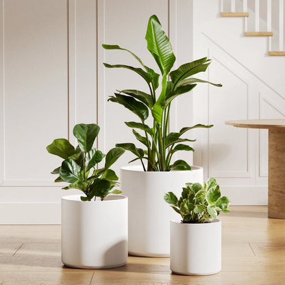Set of 3 White Indoor Plant Pots (10", 8", 6") with Drainage Hole and Plug for Indoor and Patio Decoration