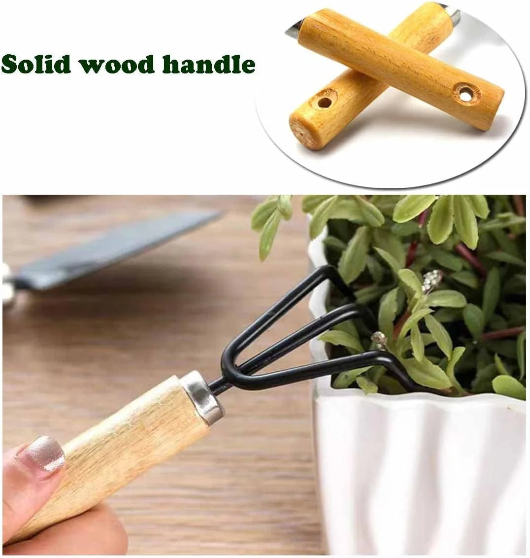 Minimalist Gardening Tool Set with Wooden Handles - Includes Narrow Trowel, Wide Trowel, and Garden Rake for Succulent Transplanting (3 Pieces)