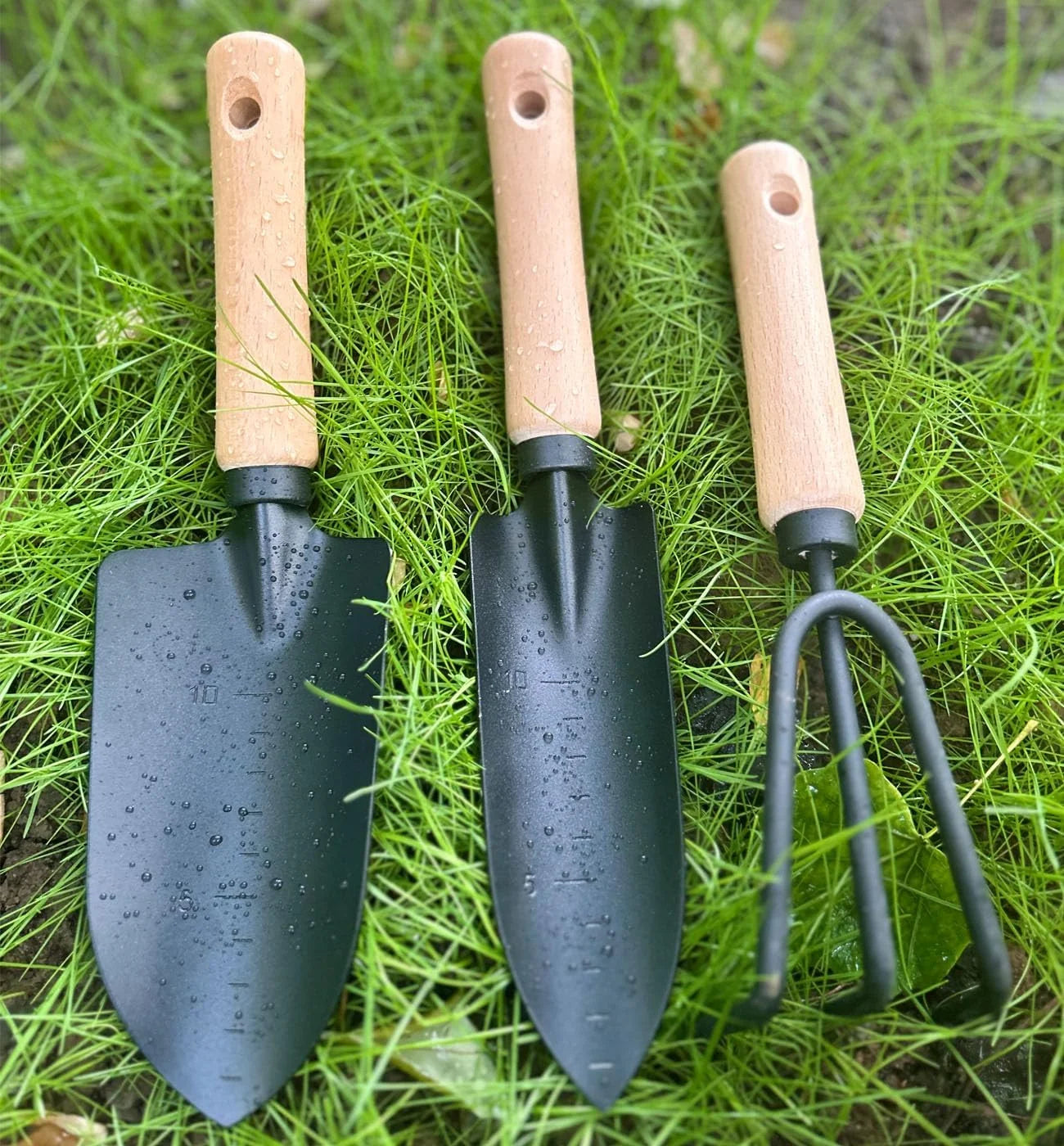Minimalist Gardening Tool Set with Wooden Handles - Includes Narrow Trowel, Wide Trowel, and Garden Rake for Succulent Transplanting (3 Pieces)