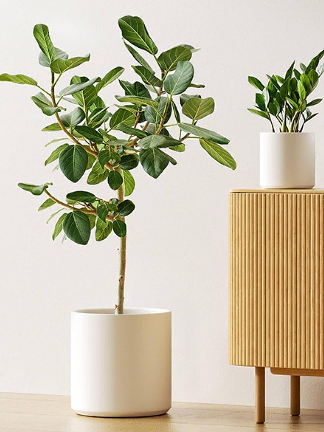 Set of 3 White Indoor Plant Pots (10", 8", 6") with Drainage Hole and Plug for Indoor and Patio Decoration