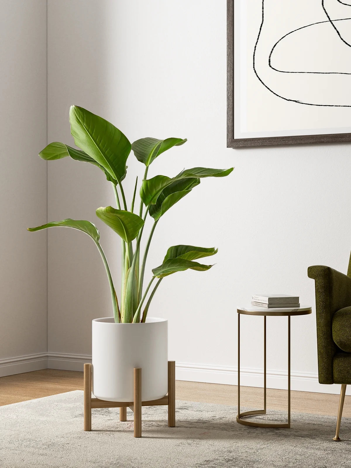 Set of 3 White Indoor Plant Pots (10", 8", 6") with Drainage Hole and Plug for Indoor and Patio Decoration