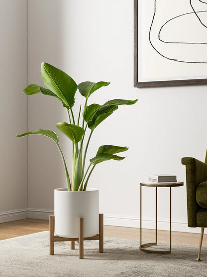 Set of 3 White Indoor Plant Pots (10", 8", 6") with Drainage Hole and Plug for Indoor and Patio Decoration